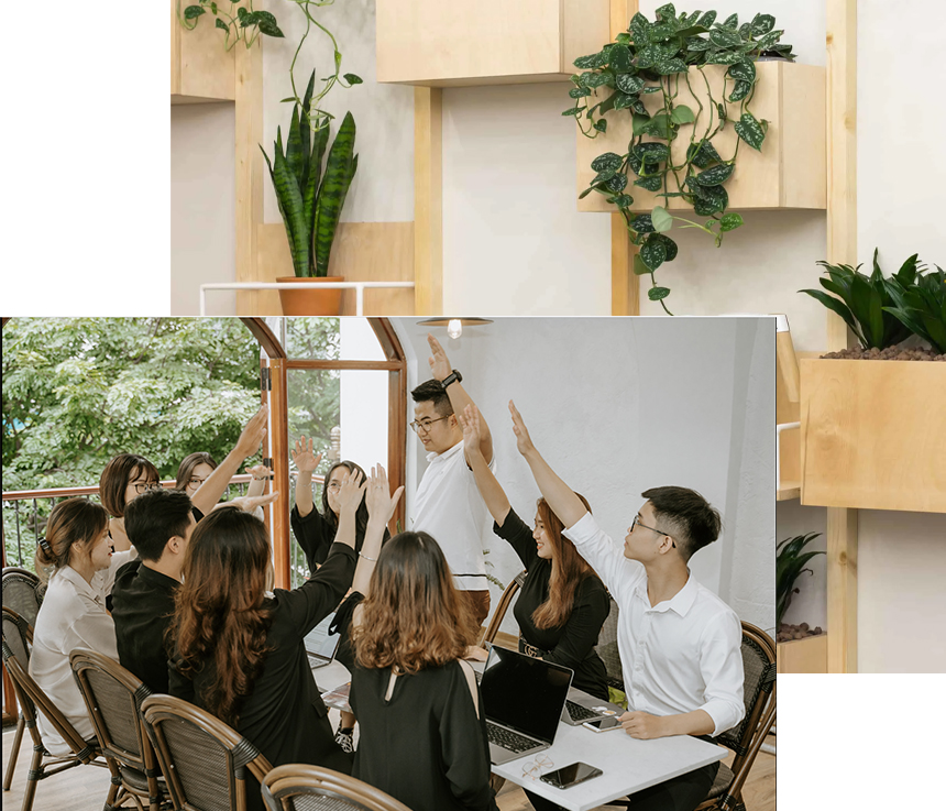 Mục tiêu của Pitda