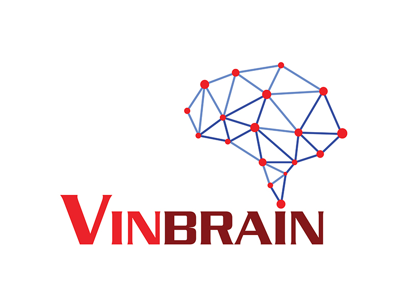 [Pitda.vn.com.vn]    Logo thương hiệu VinBrain do PITDA.VN thiết kế