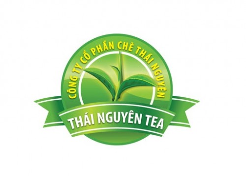 Logo Công Ty Cổ Phần Chè Thái Nguyên được PITDA.VN tư vấn chọn màu phù hợp