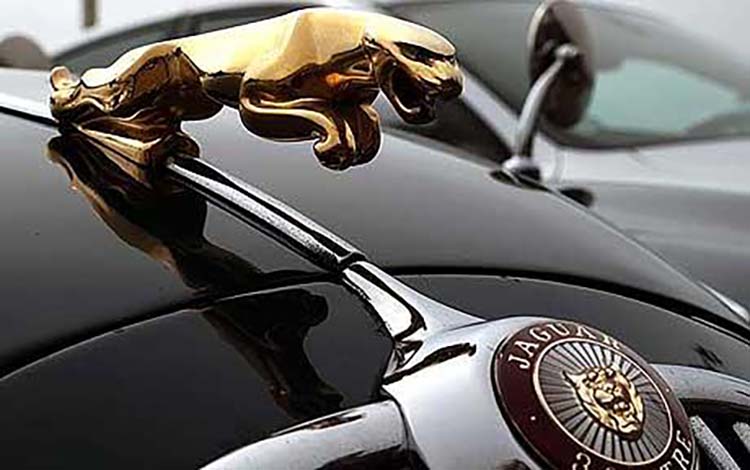 Thiết kế logo Jaguar.