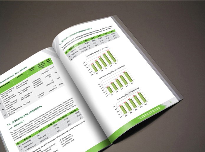 Báo cáo thường niên Ống nhựa Tiền Phong 2015 (2)