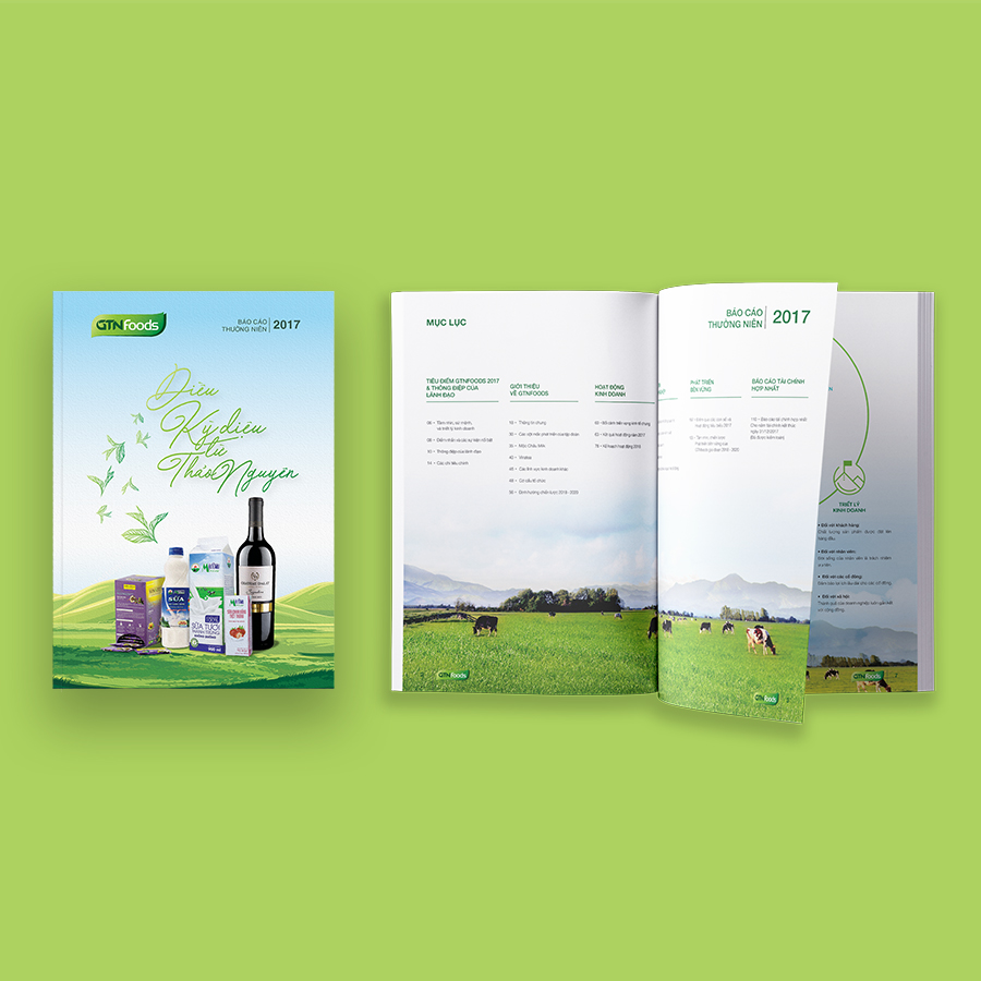 Báo cáo thường niên của GTN Food Company 2020 (2)