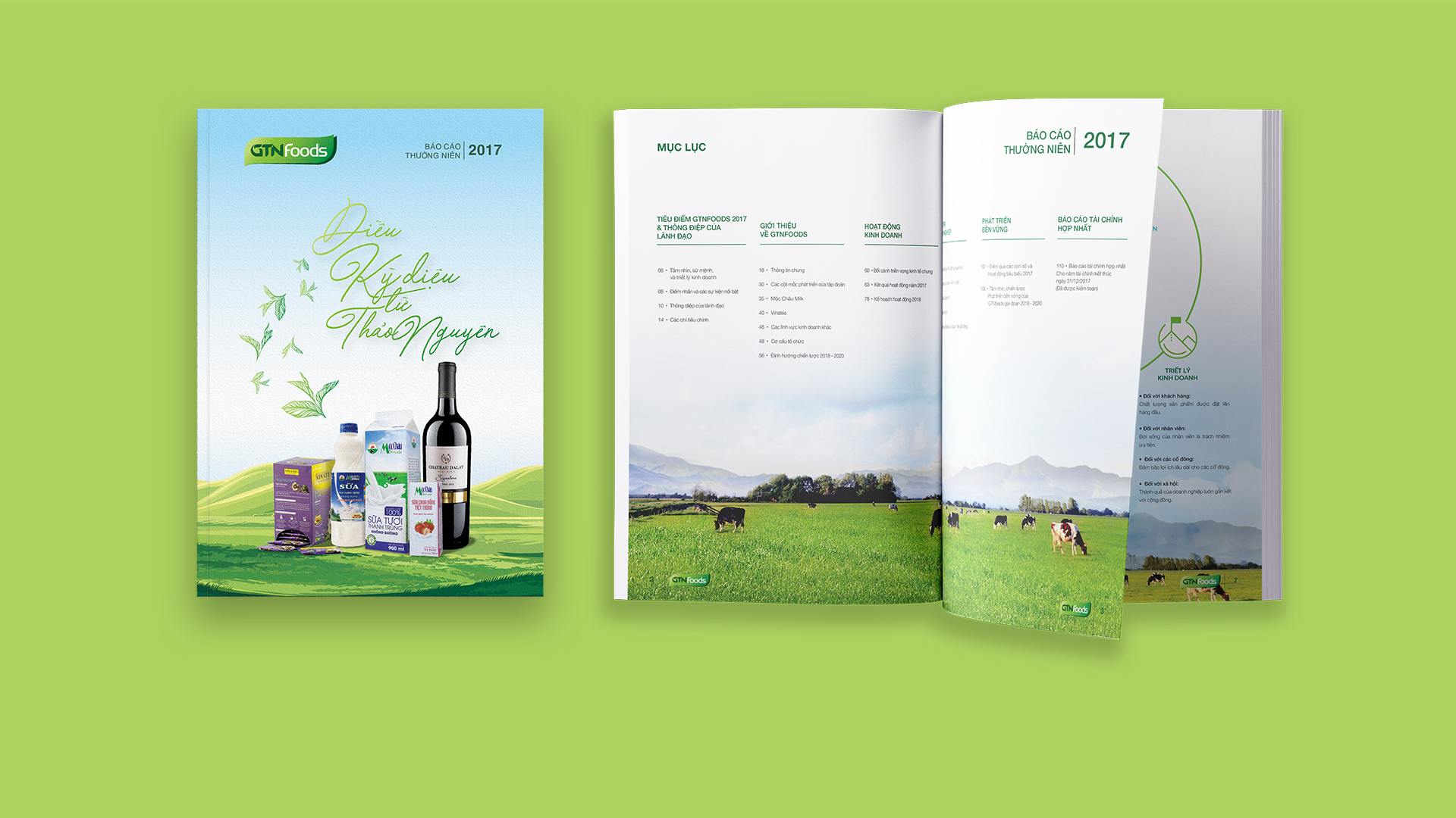 Báo cáo thường niên của GTN Food Company 2020 (1)