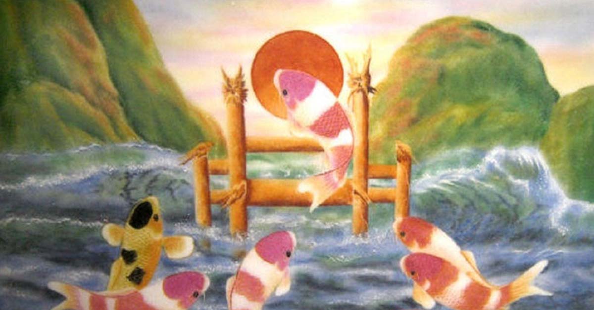 Cá chép vàng Biểu tượng phong thủy - 4 - Cá chép