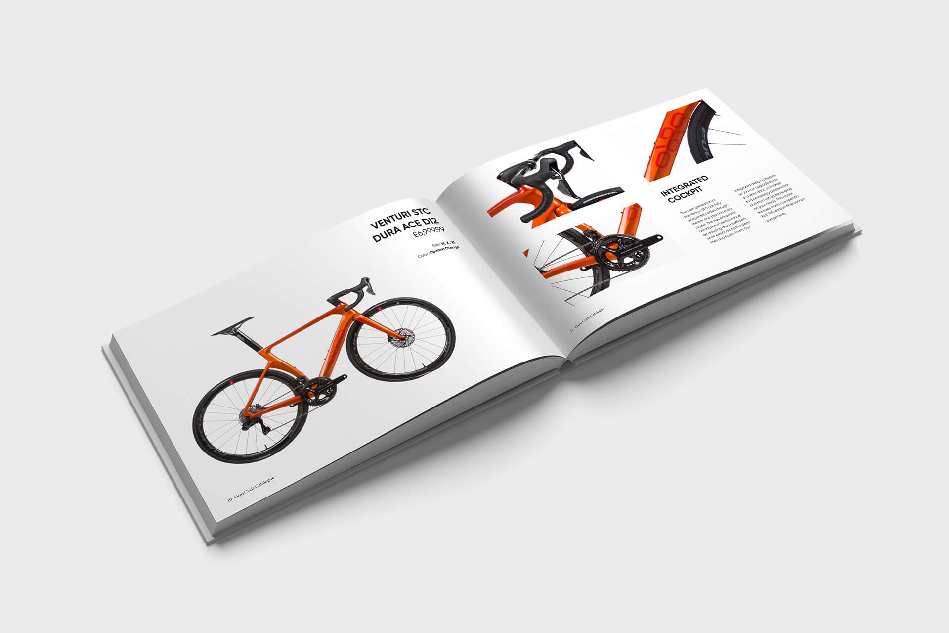 Mẫu catalogue đẹp và toàn diện - 5