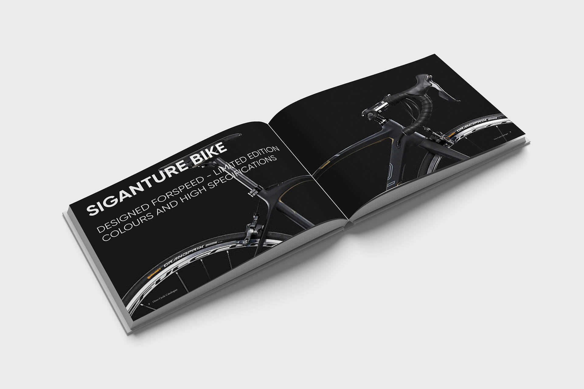 Mẫu catalogue đẹp và toàn diện - 4