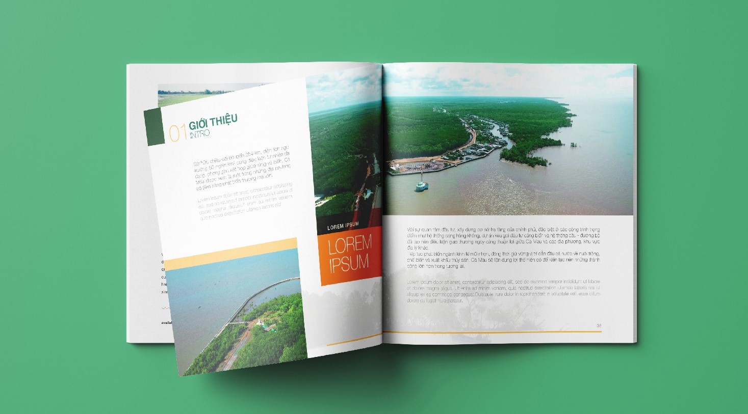 Mẫu hồ sơ năng lực Trung tâm xúc tiến đầu tư doanh nghiệp tỉnh Cà Mau (2)