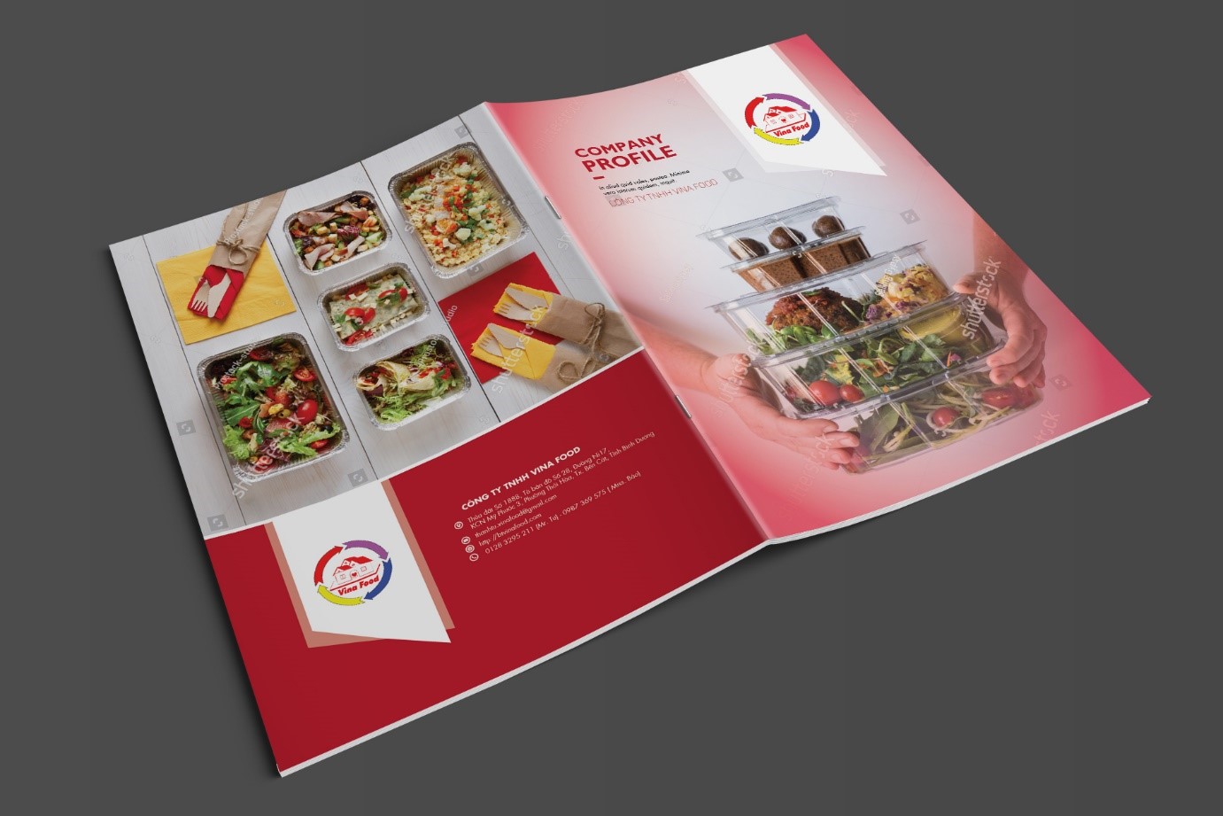 Mẫu hồ sơ năng lực Vinafood (1)